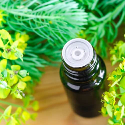 Essential oil bottle, Cypress, yellow flowers.