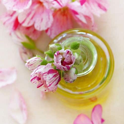 Geranium flower placed on the bottle with oil, scattered Geranium flowers below the bottle in white background.