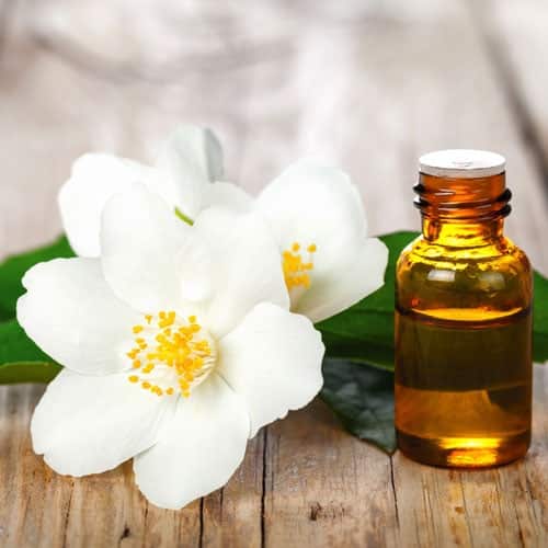 Jasmine flowers, leaves, 1 bottle of oil in wooden background.