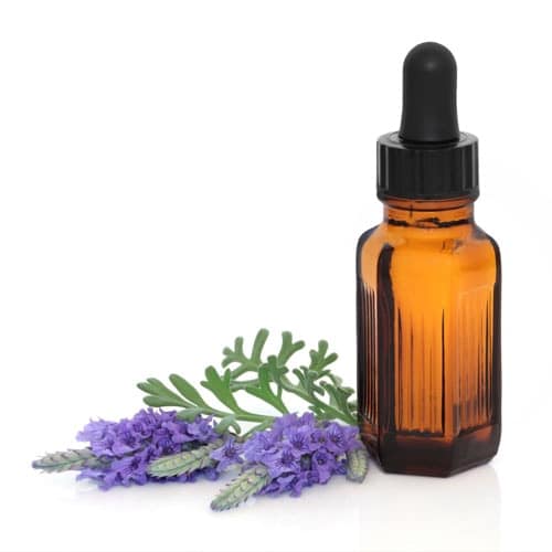 Lavender flowers, 1 bottle of oil in white background