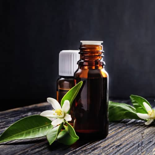 Neroli flowers, 2 bottles of oil placed in a wood in dark background.