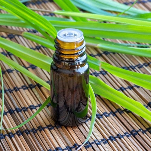 Palmarosa leaves, 1 bottle of oil placed on bamboo mat.