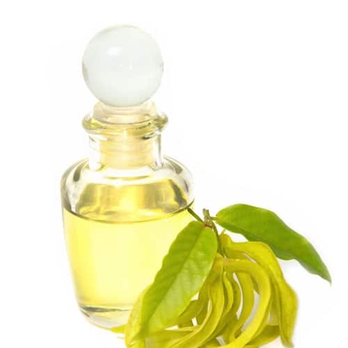 1 bottle of oil, ylang ylang leaves in white background