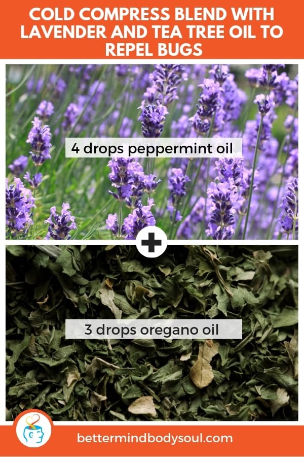 COLD COMPRESS BLEND TO REPEL BUGS. Lavender flowers and oregano leaves