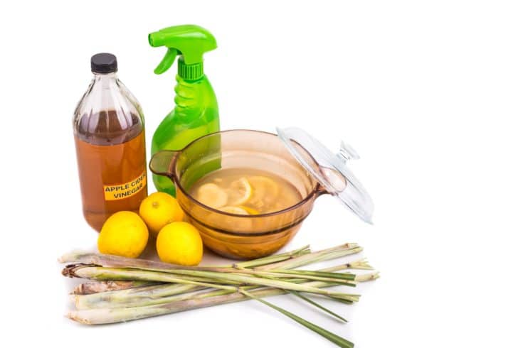 Apple cider vinegar, lemon and lemongrass home remedy, safe and effective formula to repel mosquito, fleas and bugs