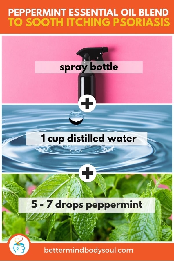 Spray bottle + distilled water + peppermint