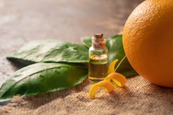 11 Essential Oil Cologne Recipes