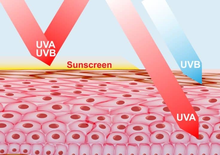 Vector Illustration of sunscreen lotion on skin protecting and delecting ultraviolet rays.